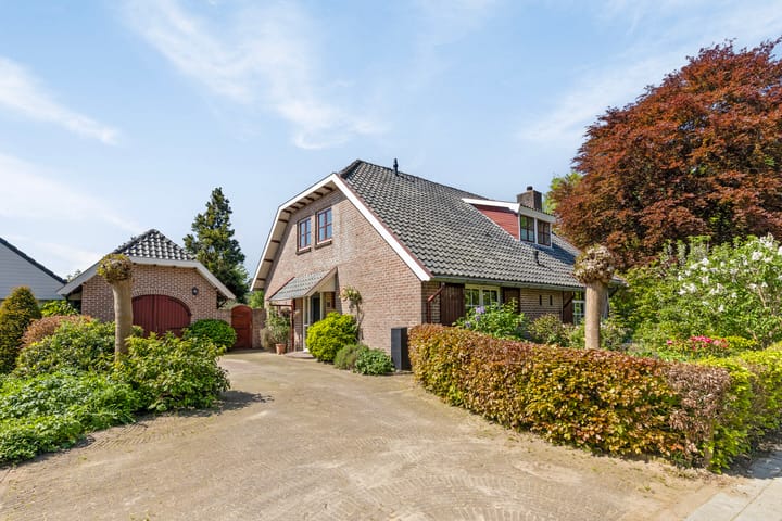 undefined main image