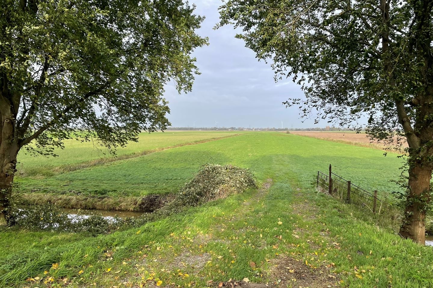 Bekijk foto 1 van Zuiddijk