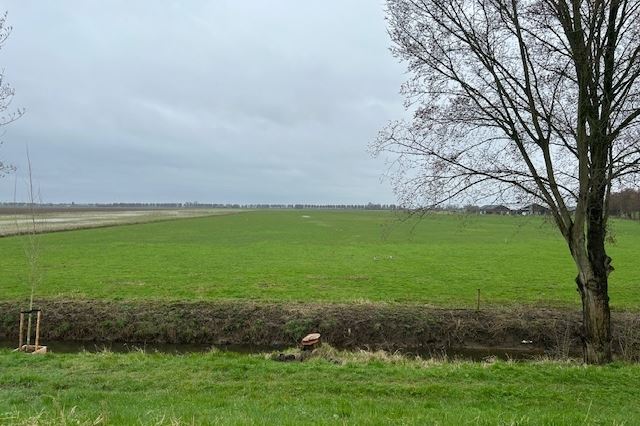 Zwanegatsedijk, Maasdam