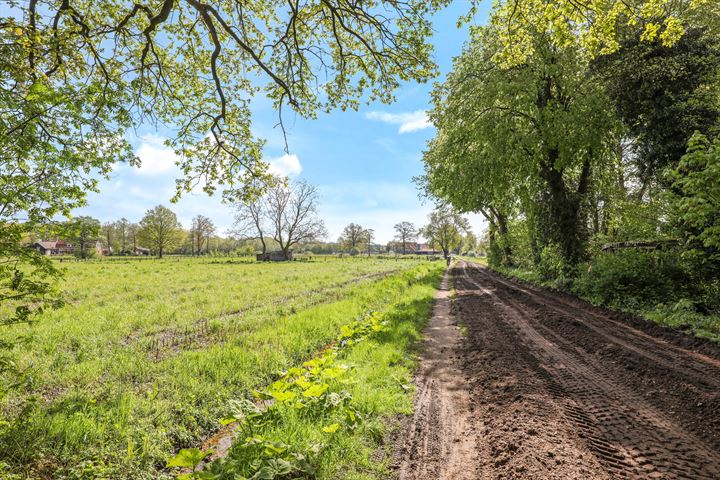 Bekijk foto 55 van Warfslatweg 2