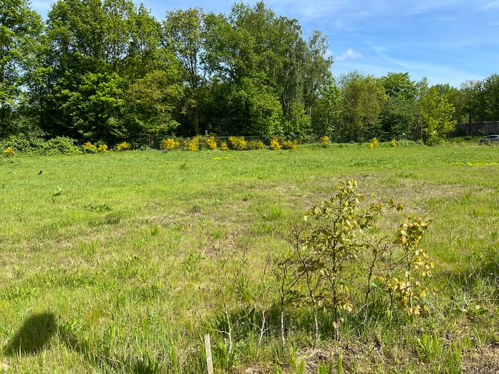 Foto 5 van De Berkenhof (bouwkavel 186)