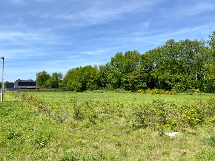 Foto 6 van De Berkenhof (bouwkavel 186)