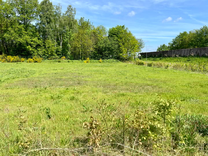 Foto 8 van De Berkenhof (bouwkavel 186)