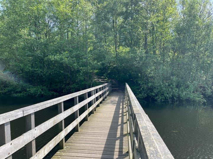 Foto 16 van De Berkenhof (bouwkavel 186)