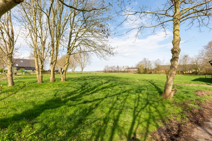 Foto 5 van Dorpsweg 164