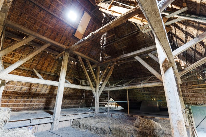 Foto 23 van Dorpsweg 164