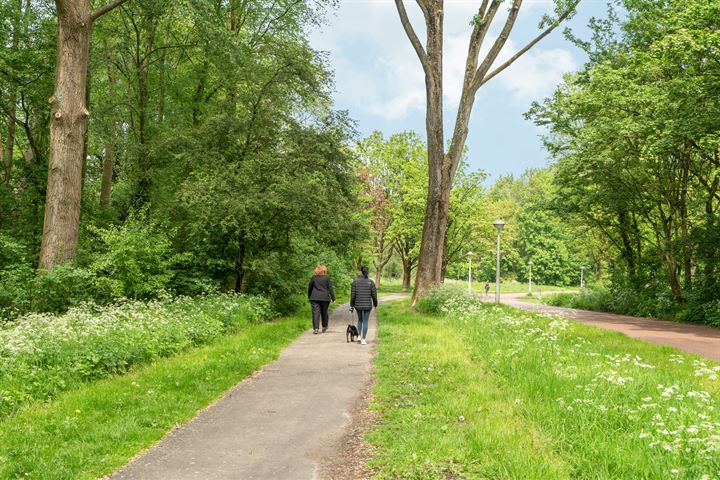 Bekijk foto 36 van Antillenstraat 41-1