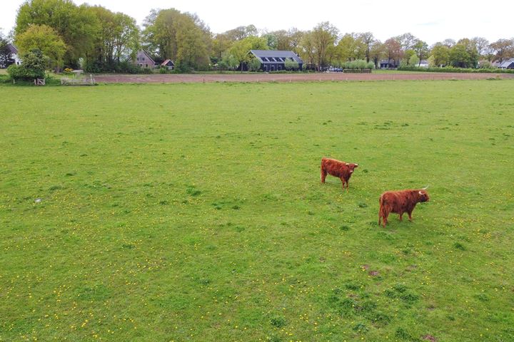 Bekijk foto 60 van Rheezerweg 84-B