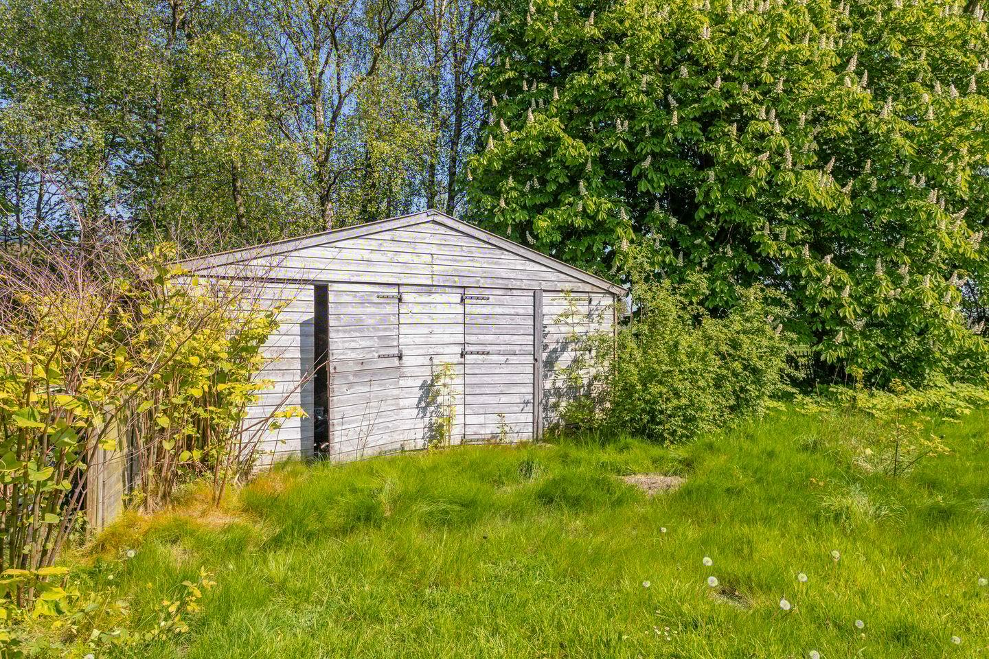 Foto 10 van Eastwâld 26