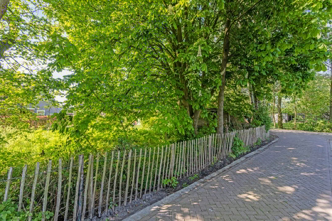 Foto 11 van Eastwâld 26