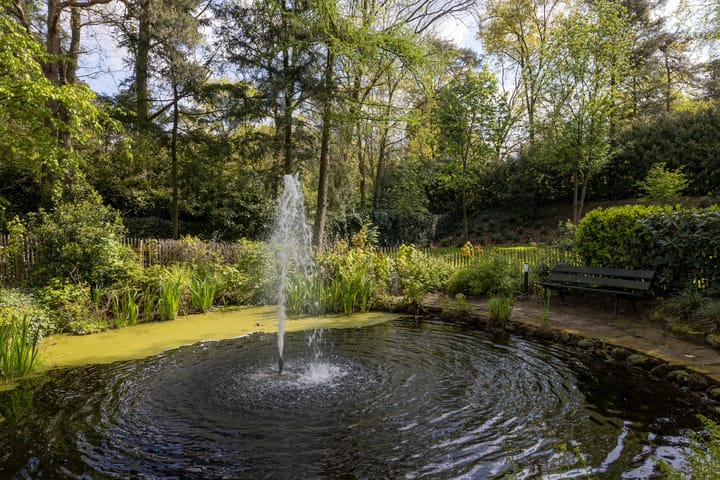 Foto 44 van Prins Constantijnlaan 13