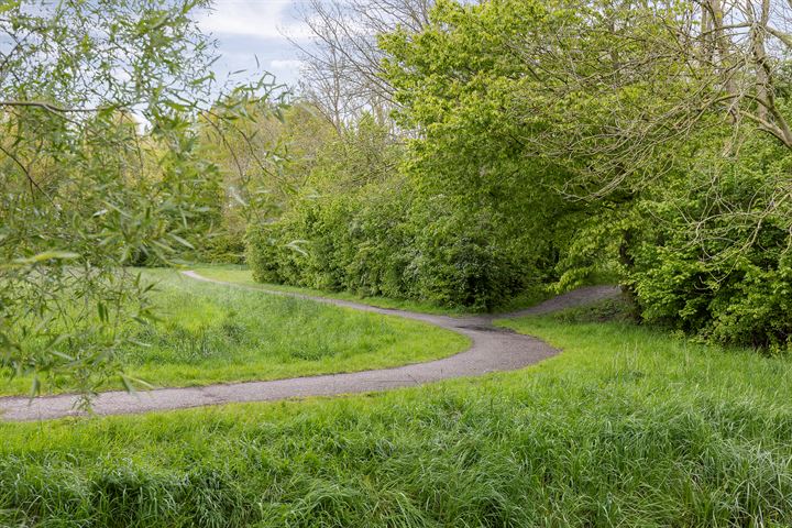 Bekijk foto 6 van Het Roege Bos 43