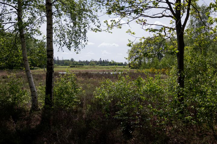 Bekijk foto 41 van Hendrik Reindersweg 28-101