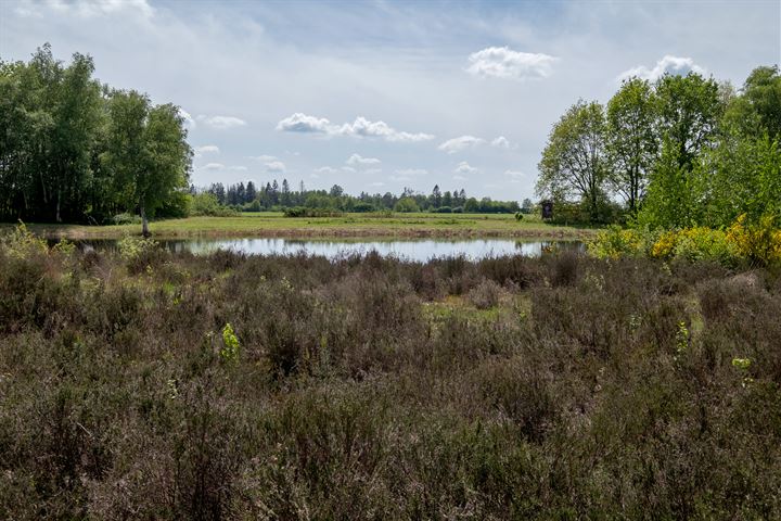 Bekijk foto 42 van Hendrik Reindersweg 28-101