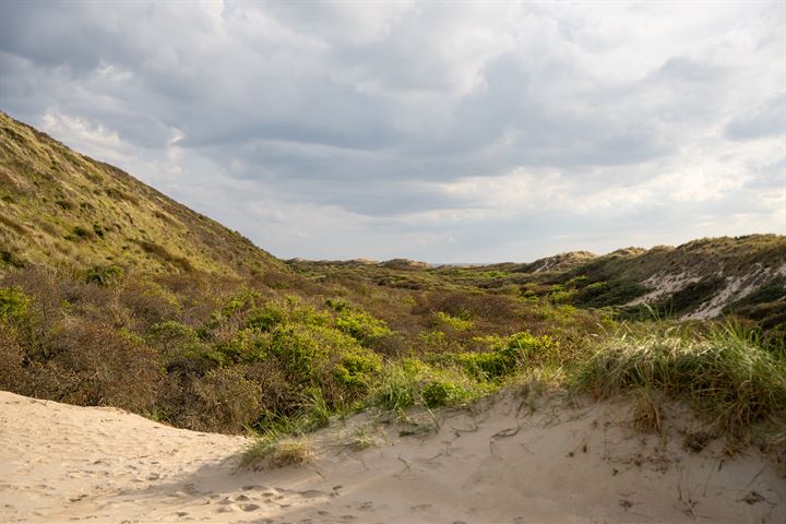 Bekijk foto 62 van Burghseweg 74