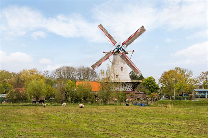 Bekijk foto 59 van Burghseweg 74