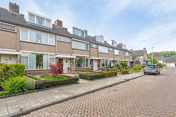 Bekijk foto 41 van Bruininkhuizen 21