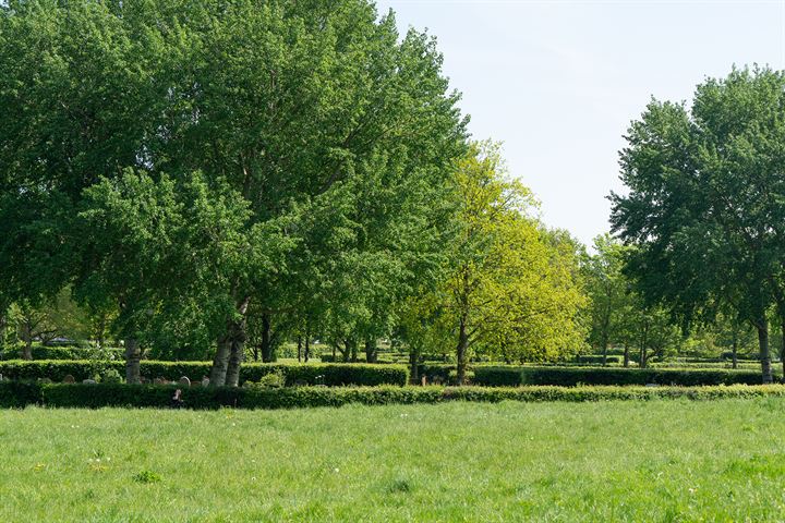 Bekijk foto 45 van Veerkade 116