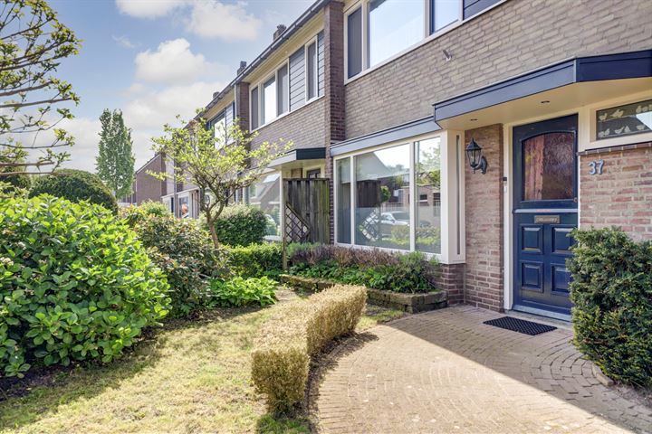 Bekijk foto 32 van Wingerdstraat 37