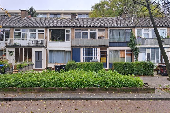 Bekijk foto van W.H. Vliegenstraat 77 79