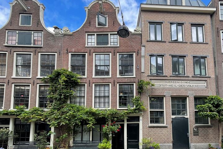 Bekijk foto 1 van Goudsbloemstraat 42-H