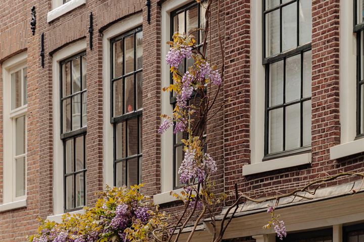 Bekijk foto 26 van Goudsbloemstraat 42-H