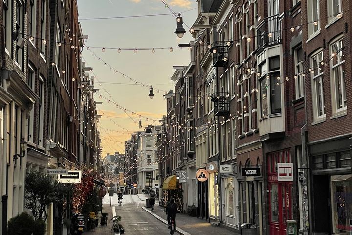 Bekijk foto 34 van Goudsbloemstraat 42-H