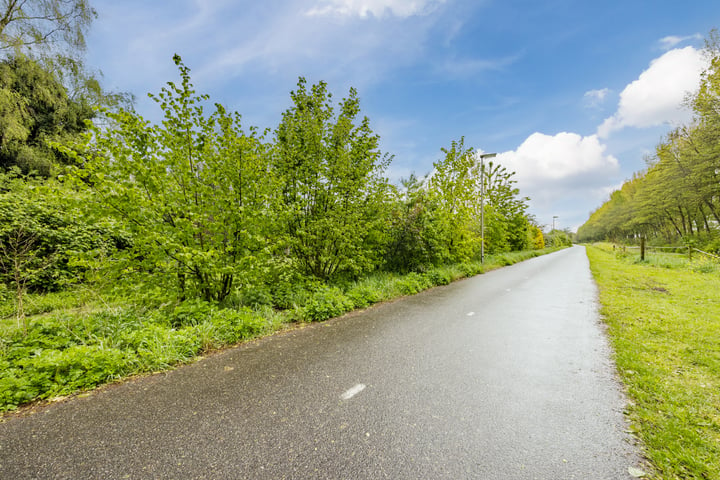 Bekijk foto 34 van Stadhoudersdijk 11