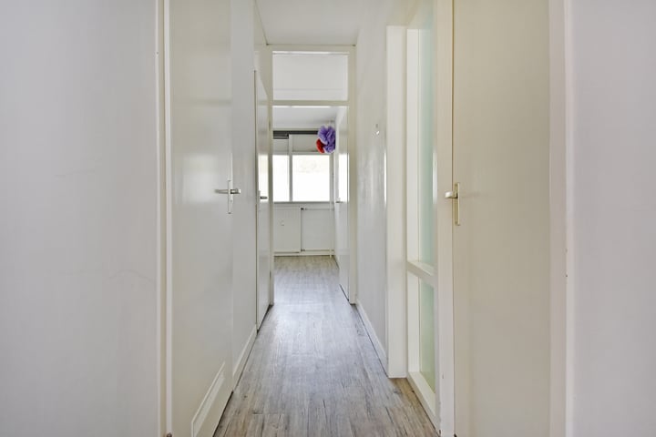 Foto 3 van Hoevenbos 3