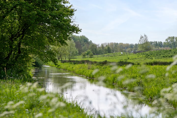 Bekijk foto 50 van Zuurbes 27