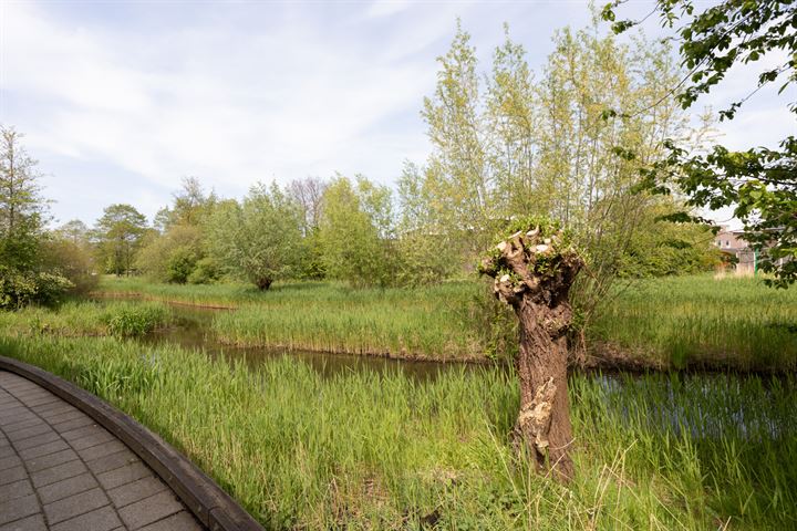 Bekijk foto 47 van Keizersmantel 515