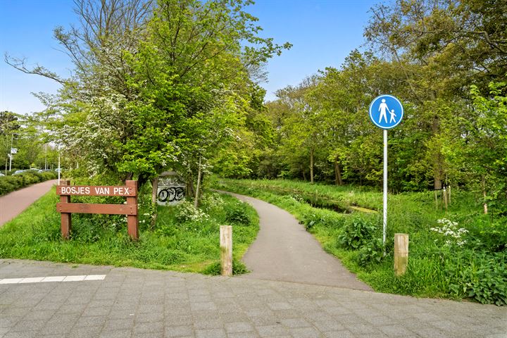 Bekijk foto 37 van Vlierboomstraat 626