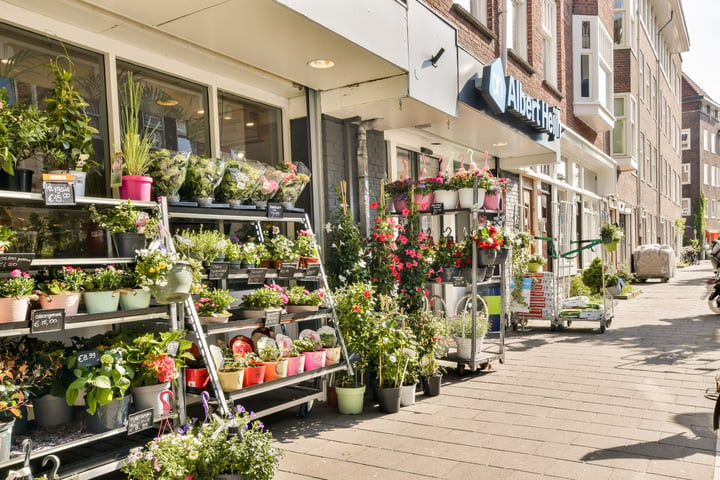 Bekijk foto 20 van Rietwijkerstraat 46-H