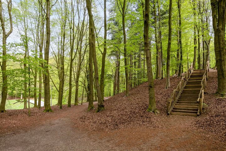 Bekijk foto 48 van Apeldoornseweg 214