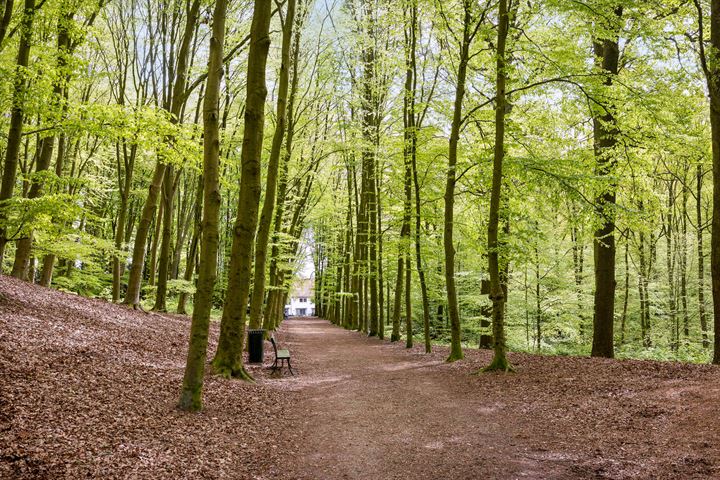 Bekijk foto 49 van Apeldoornseweg 214