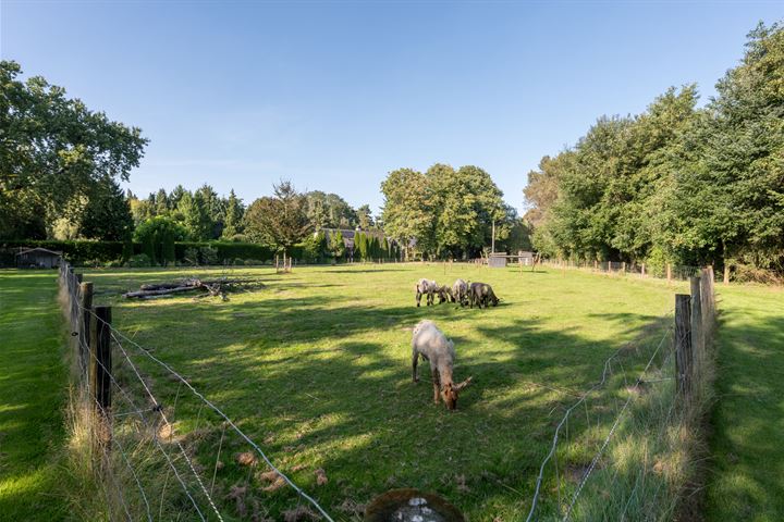 Bekijk foto 62 van Vogelenzang 2