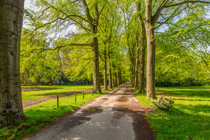 Bekijk foto 31 van Duin- en Kruidbergerweg 59