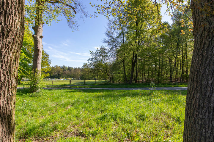 Bekijk foto 4 van Kemperbergerweg 159