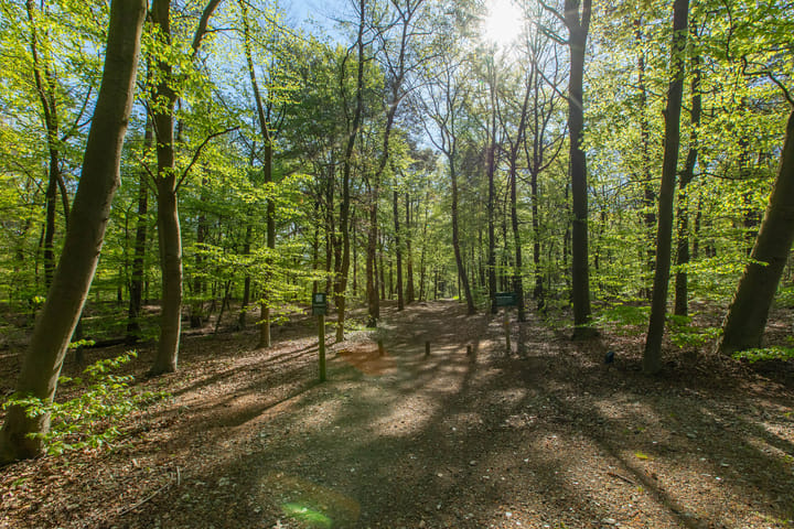 Foto 39 van Kemperbergerweg 159