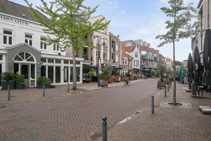 Bekijk foto 43 van Mgr vdn Tillaartstraat 38