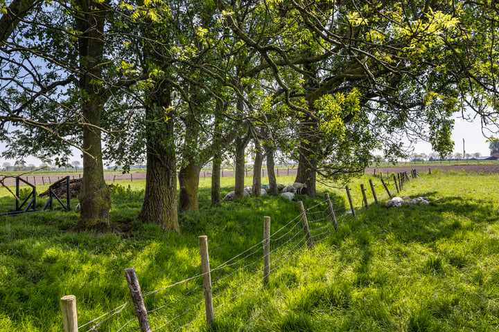 Bekijk foto 29 van Voorweg 3