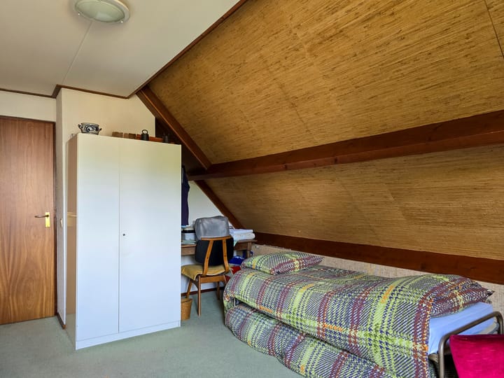 Foto 51 van Jean Louis Pisuissestraat 8