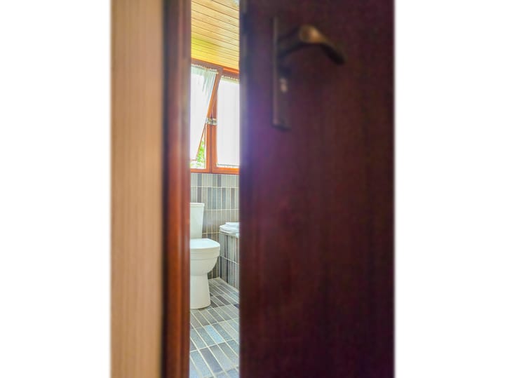 Foto 61 van Jean Louis Pisuissestraat 8