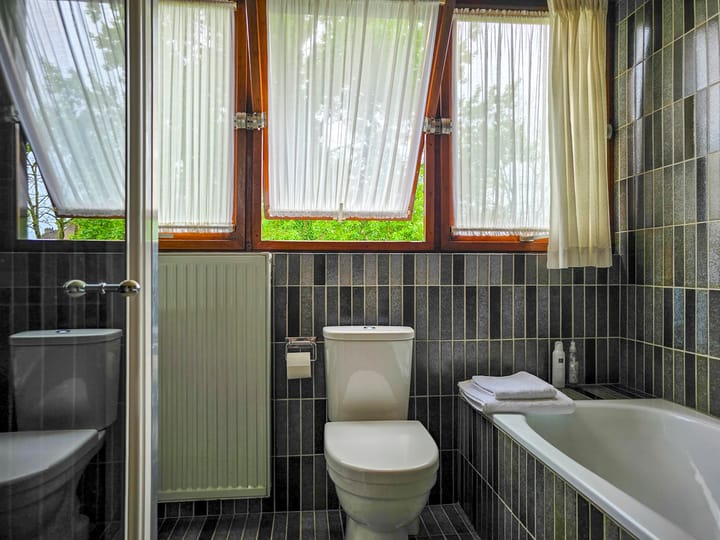 Foto 62 van Jean Louis Pisuissestraat 8