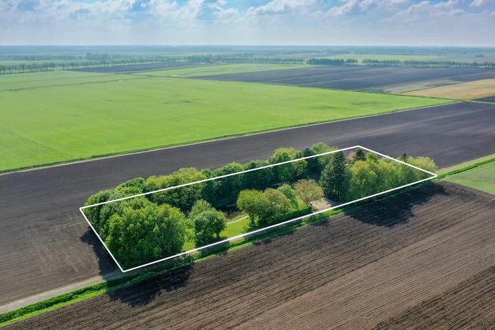 Foto 3 van Veerlaan 2