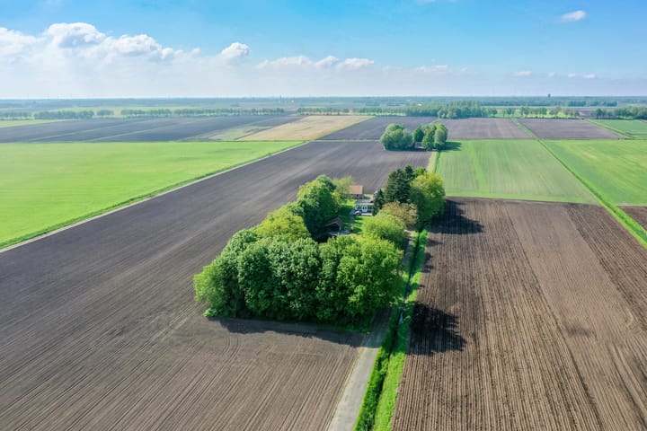 Foto 69 van Veerlaan 2