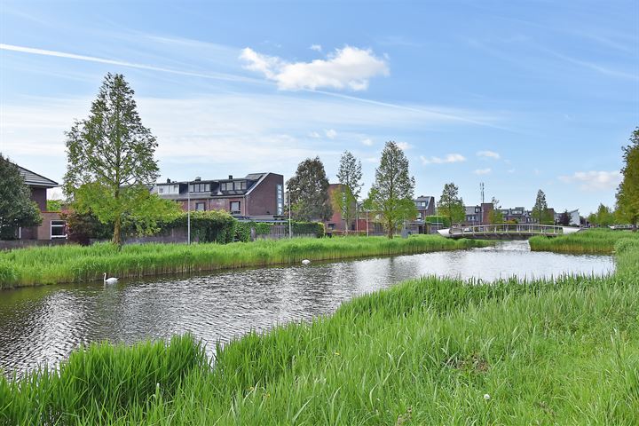 Bekijk foto 30 van Laan van Leidschenveen 287