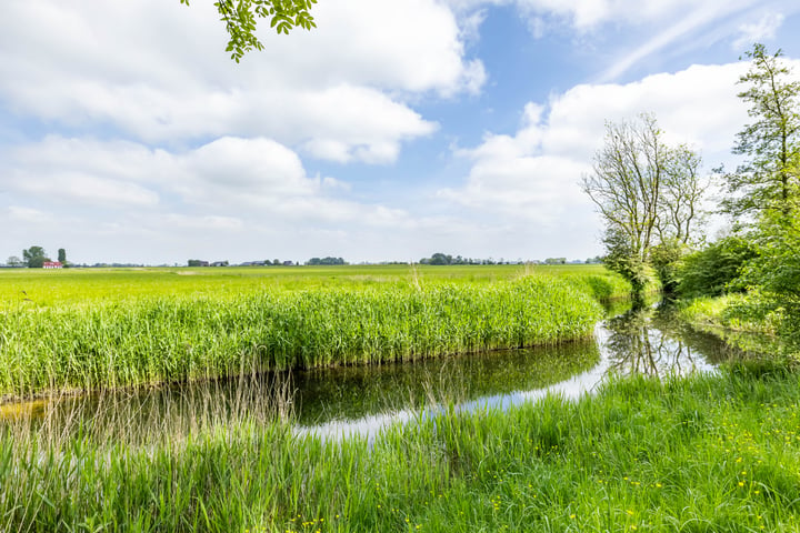 Bekijk foto 39 van Scheltemaheerd 49