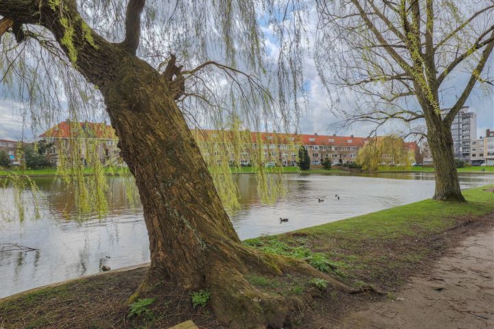 Bekijk foto 45 van Celebesstraat 10-B