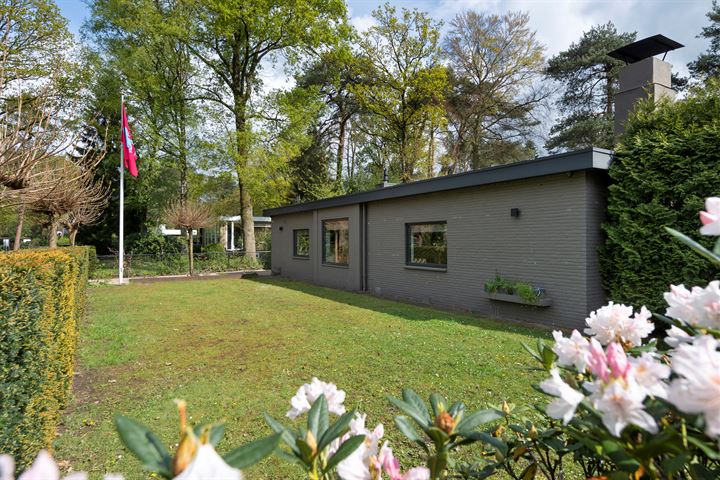 View photo 56 of Ridder van Rappardlaan 4